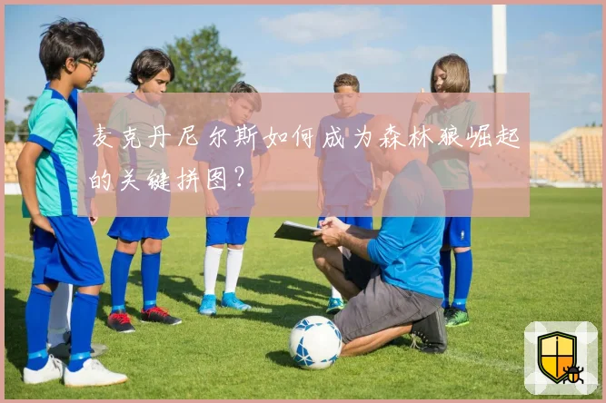 麦克丹尼尔斯如何成为森林狼崛起的关键拼图？