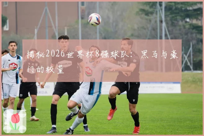揭秘2026世界杯8强球队：黑马与豪门的较量